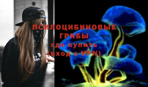 мяу мяу мука Армянск