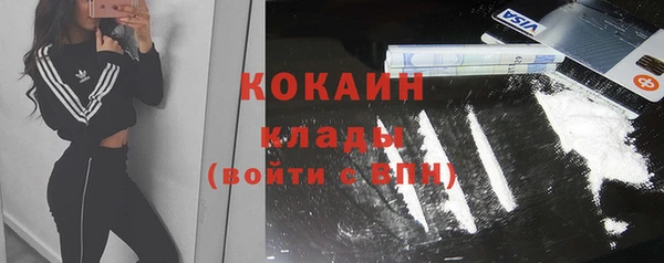 шишки Аркадак