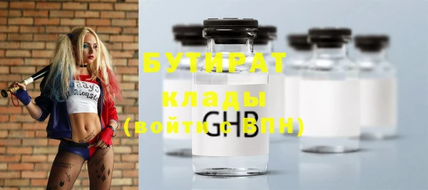 шишки Аркадак