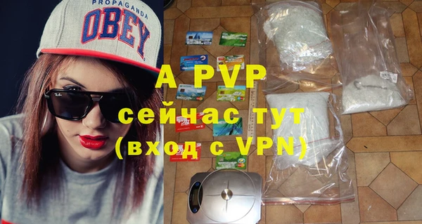 шишки Аркадак