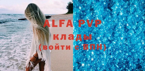 шишки Аркадак