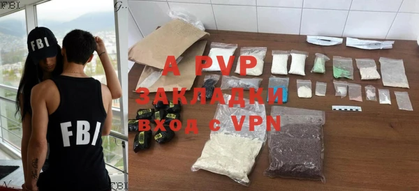 шишки Аркадак